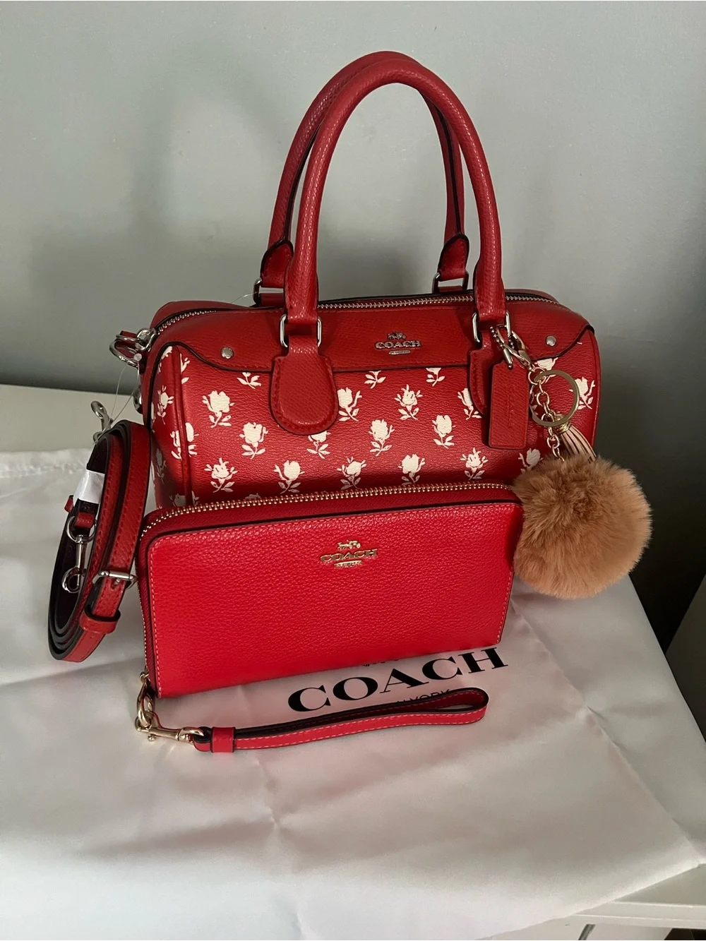 Coach Mini Bennett In Badlands Floral Print With Wallet